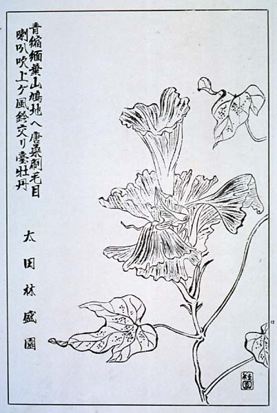 naniwak36-02