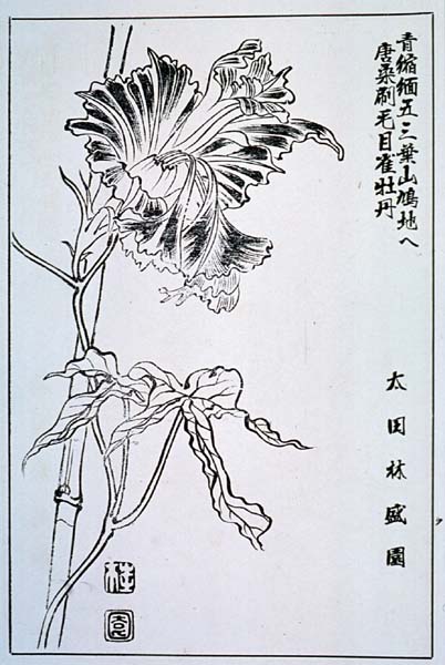 naniwak36-19