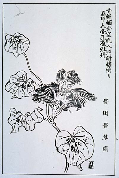 naniwak36-23