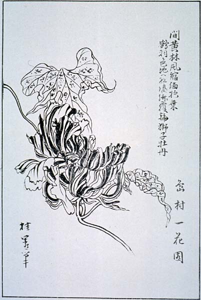 naniwak39-06