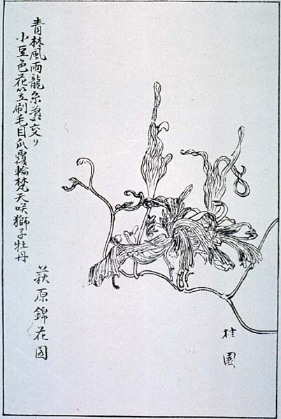 naniwak39-08
