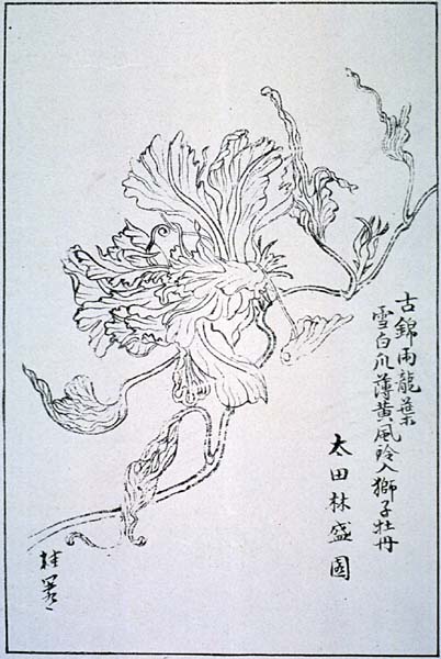 naniwak39-10