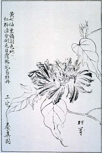 naniwak39-12