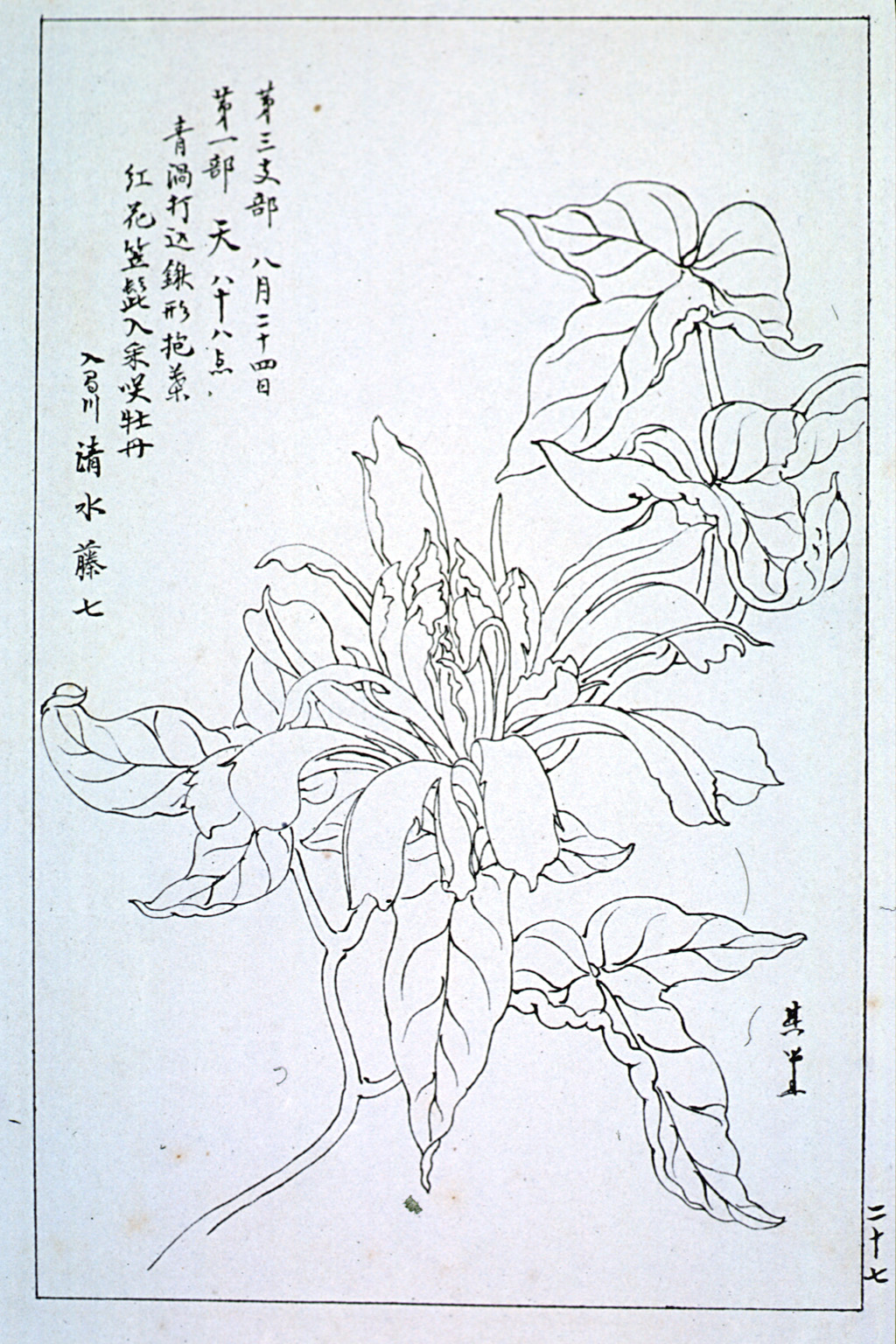 kishun14-27