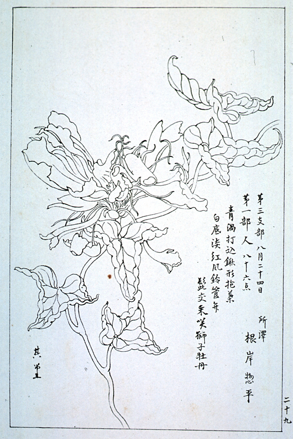 kishun14-29