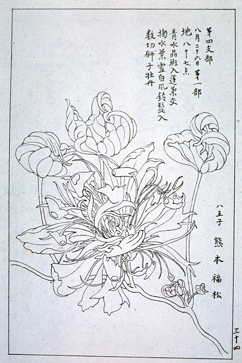 kishun14-34