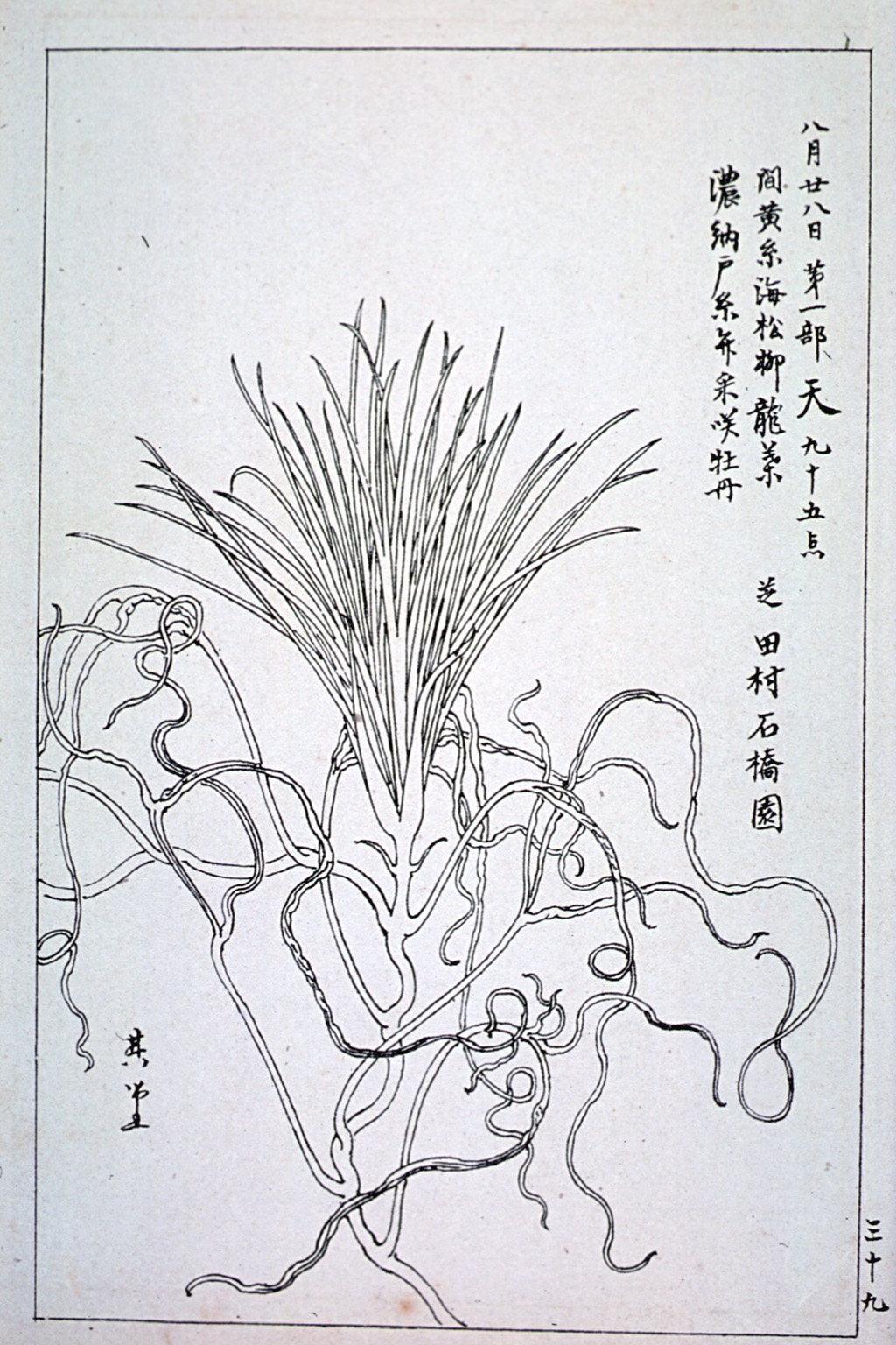 kishun14-39