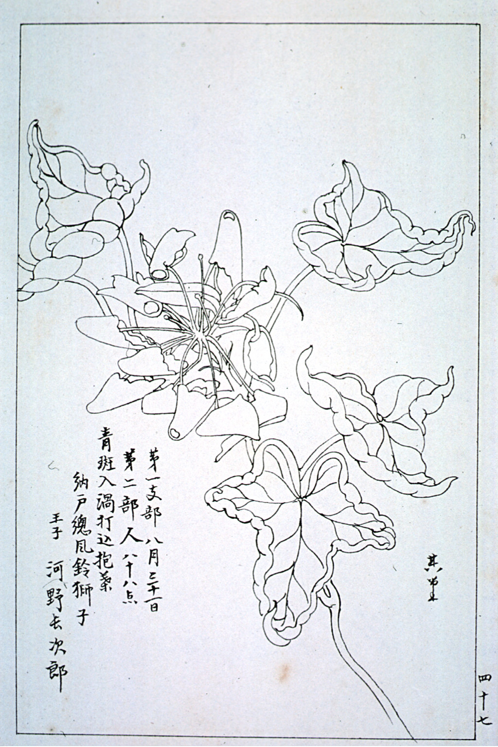 kishun14-47