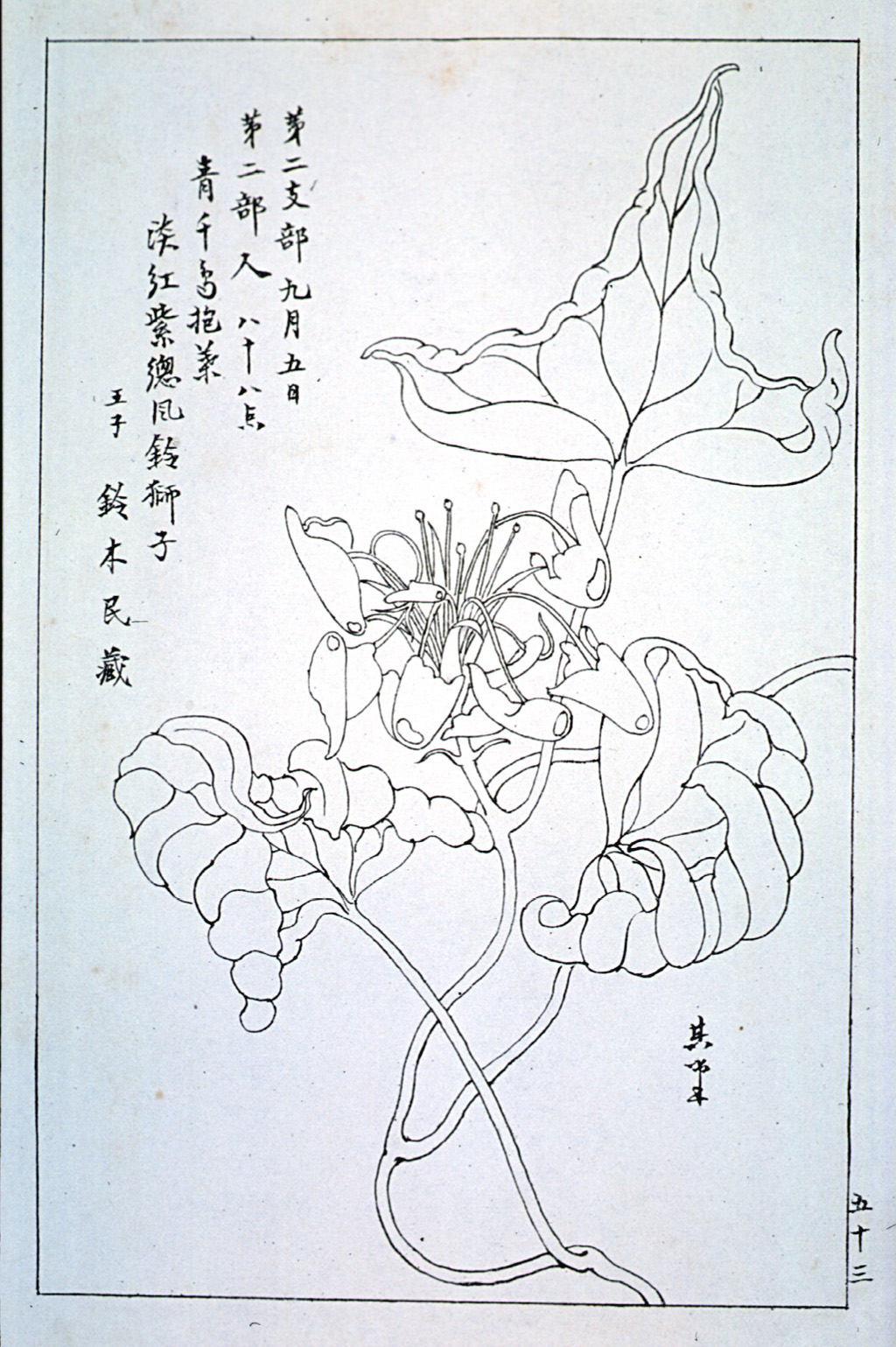 kishun14-53