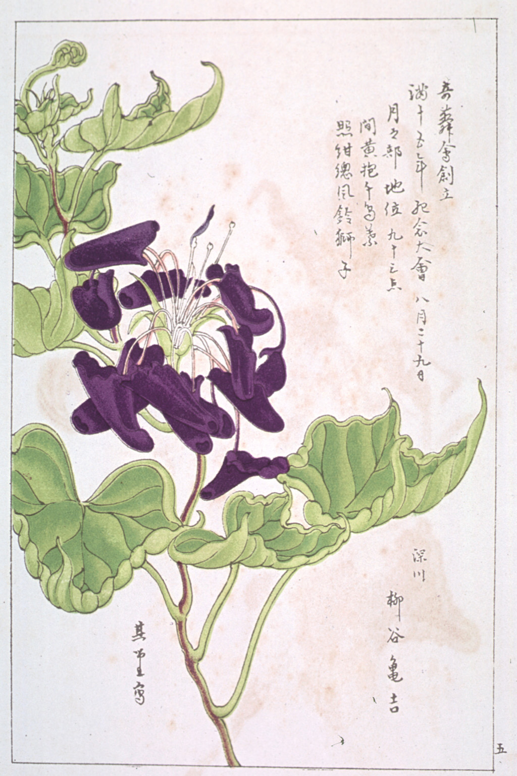 kishun14-63