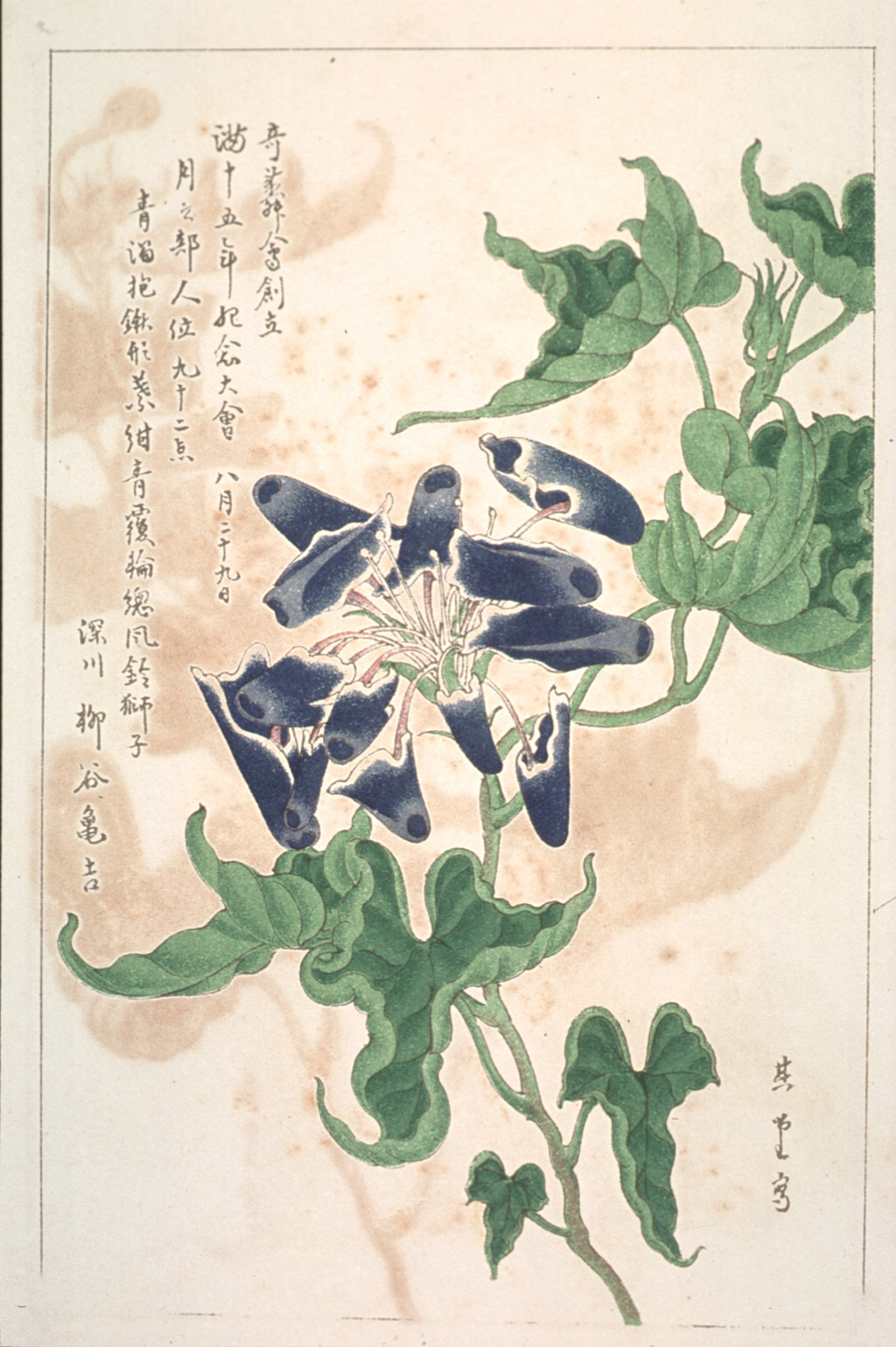 kishun14-64