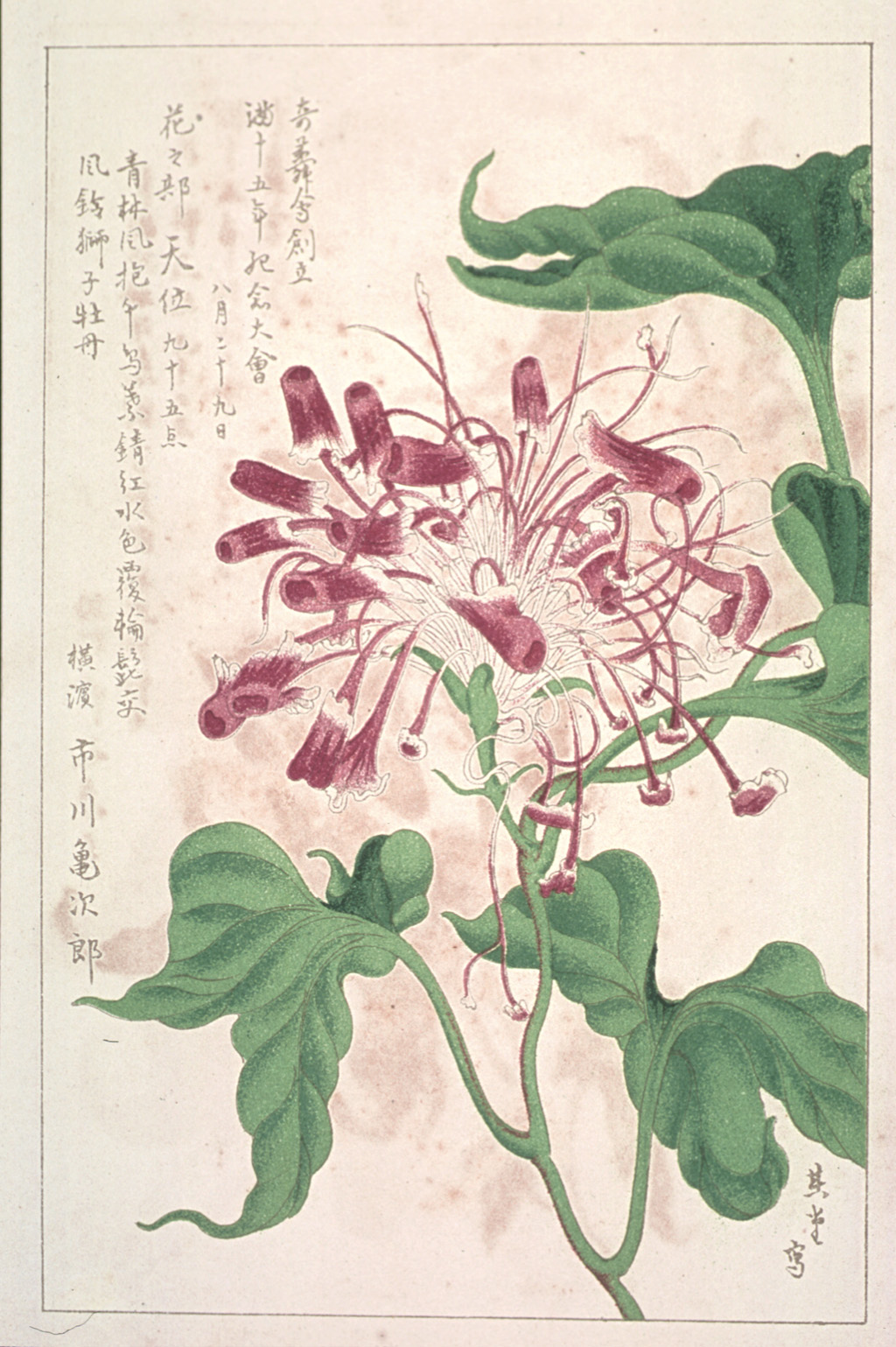kishun14-65