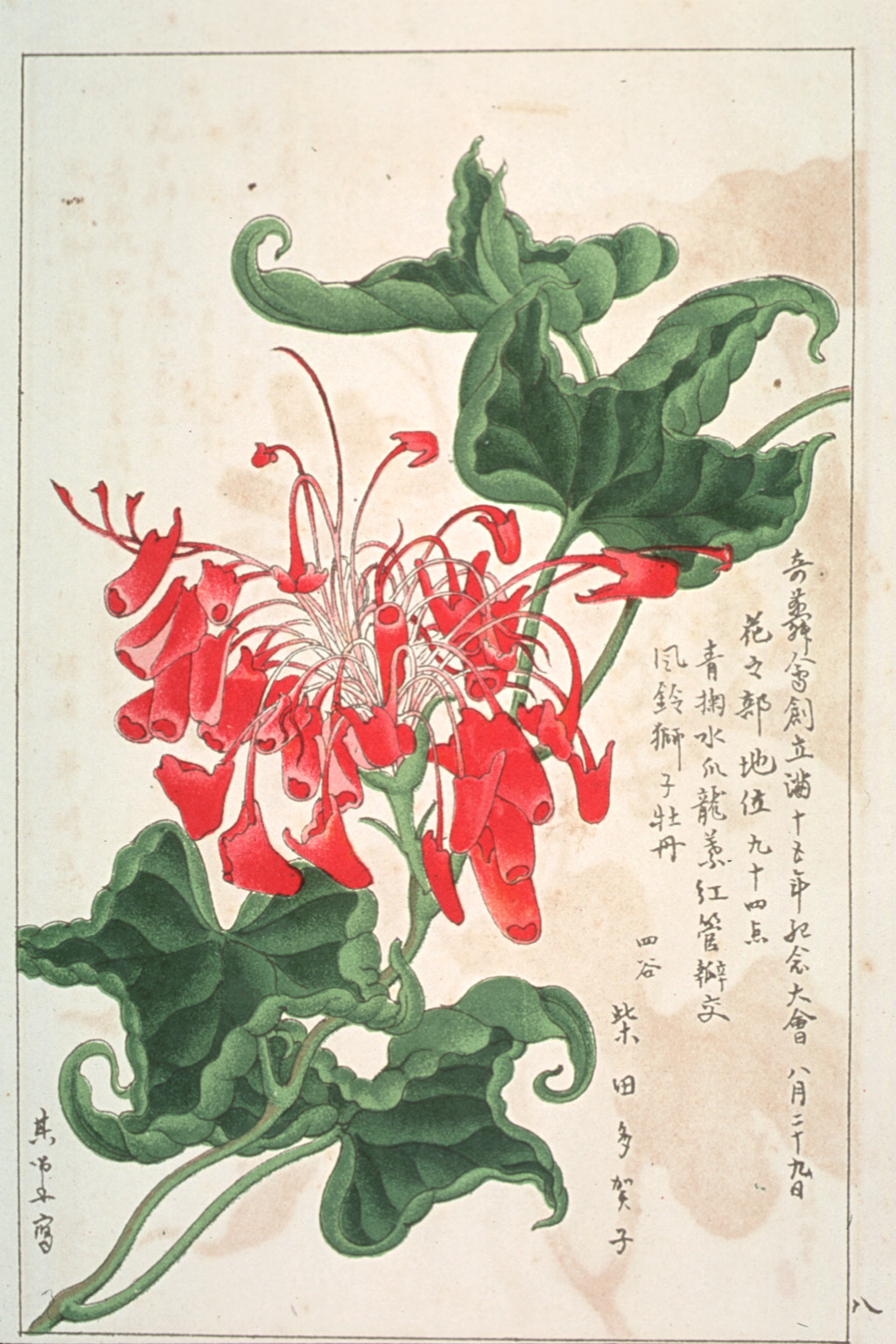 kishun14-66