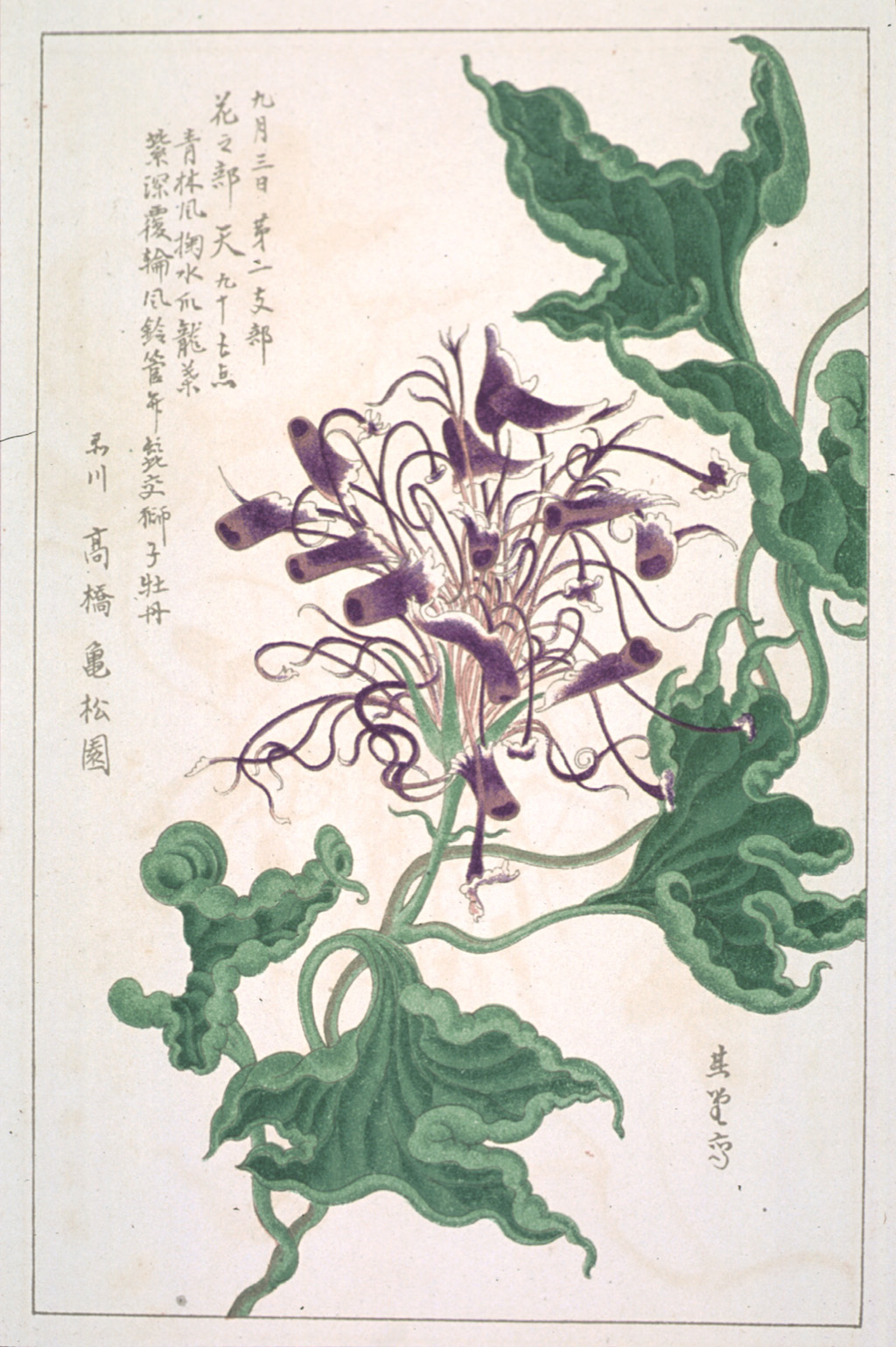 kishun15-22