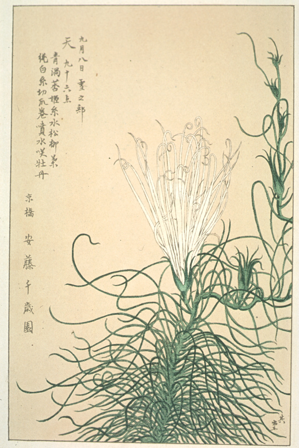 kishun15-24