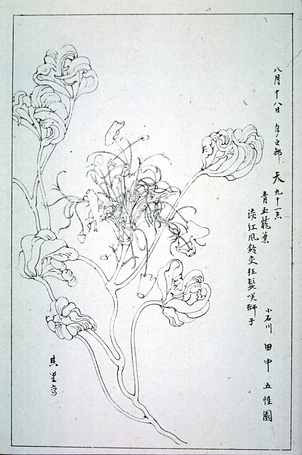 kishun15-33