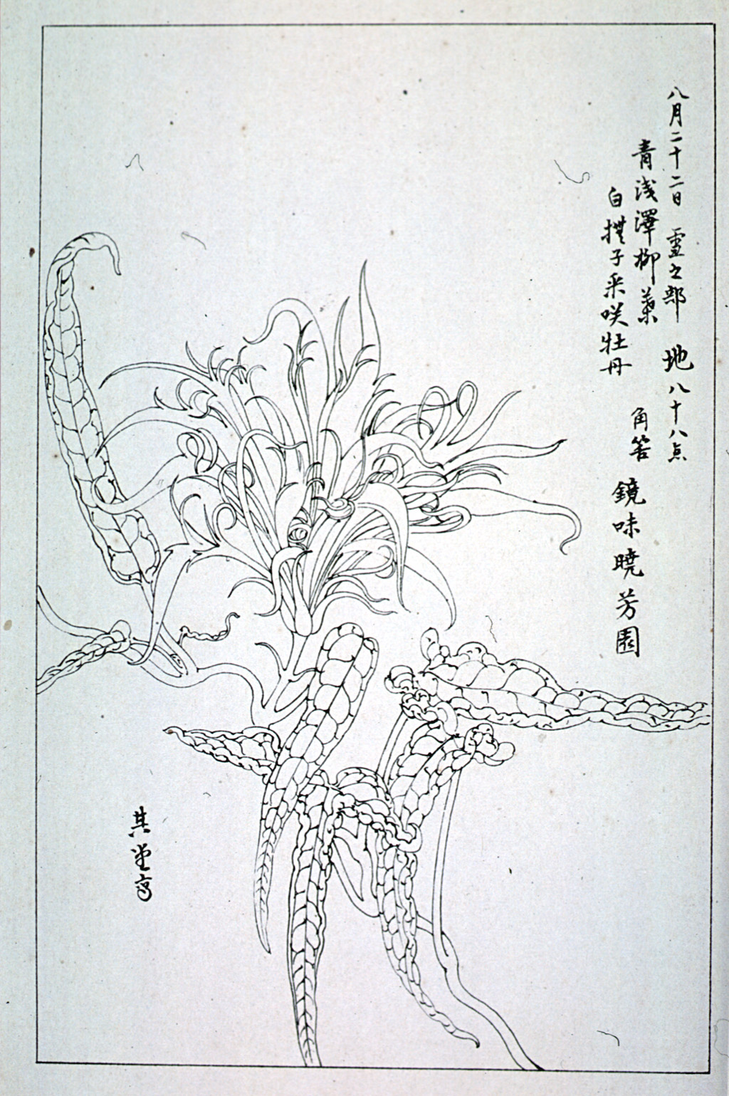 kishun15-34