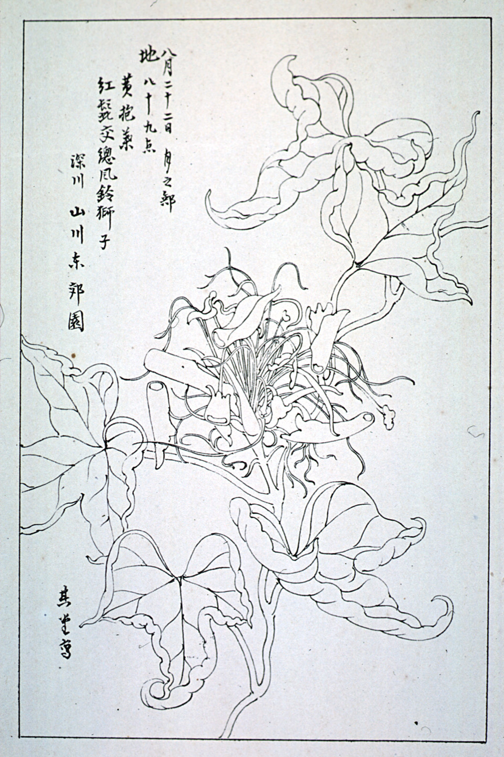 kishun15-35