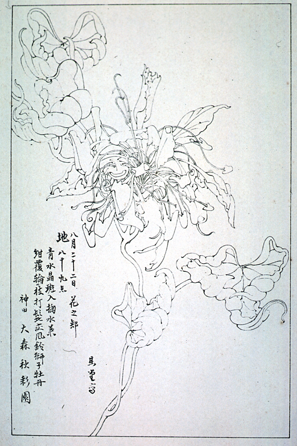 kishun15-36
