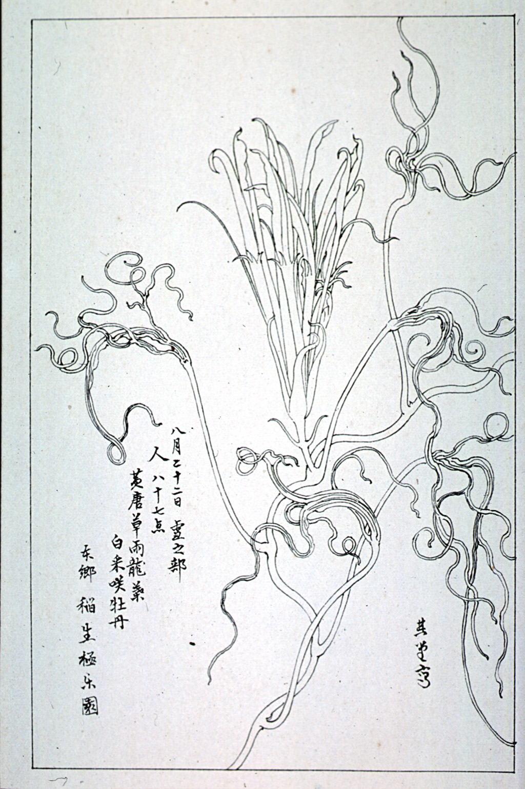 kishun15-37