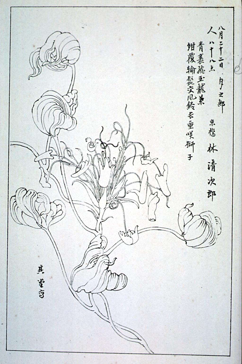 kishun15-38