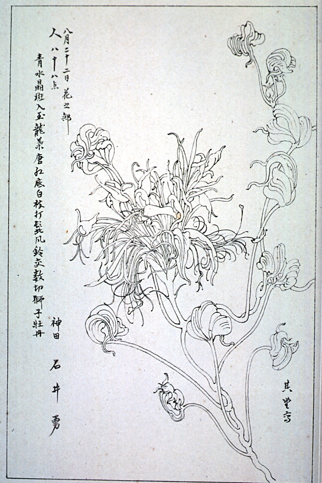 kishun15-39