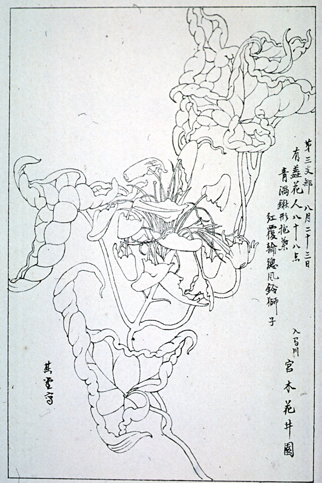 kishun15-43