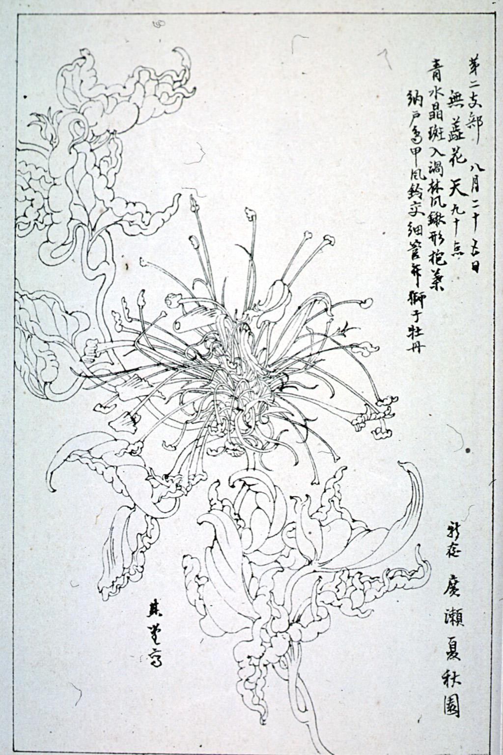 kishun15-44