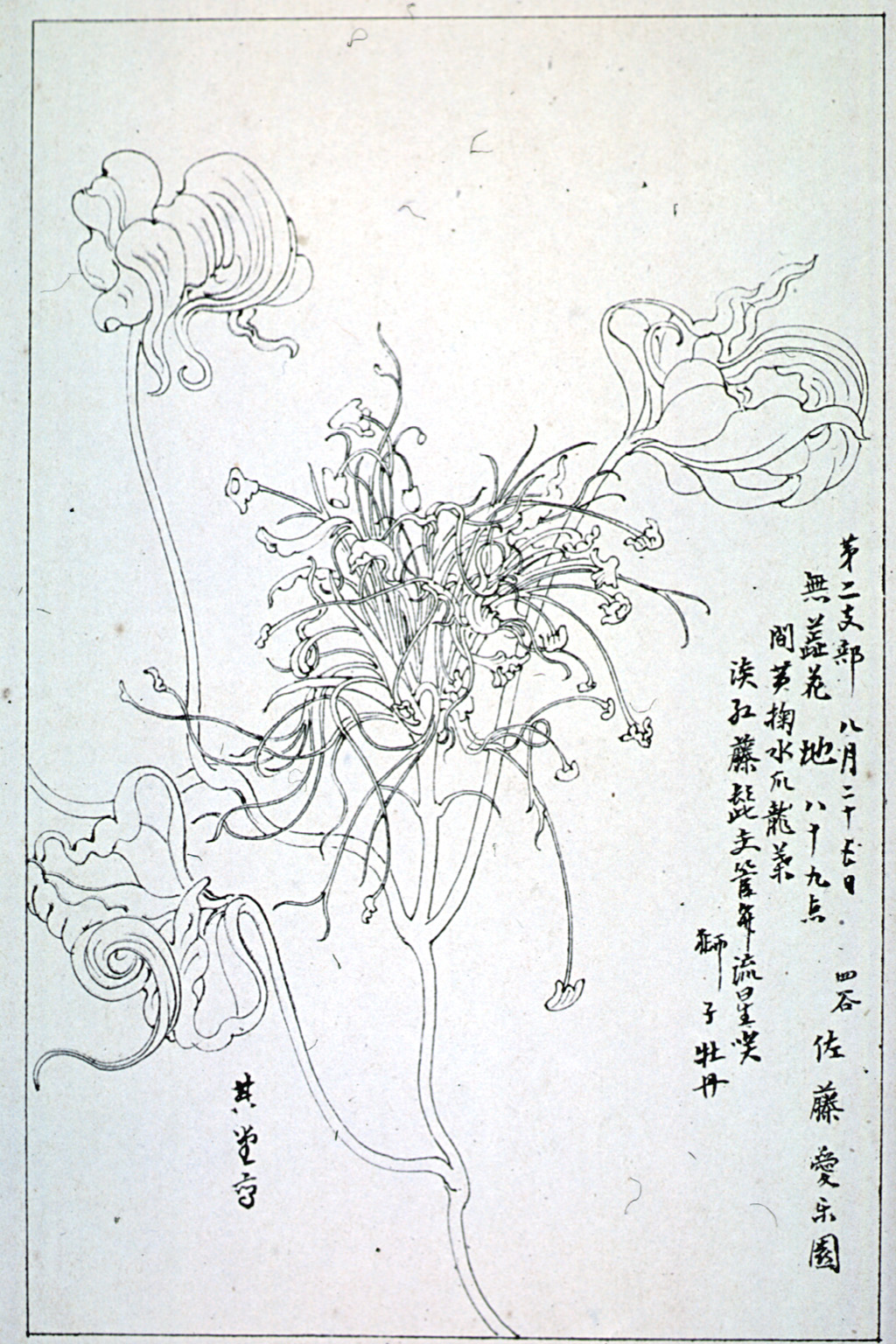 kishun15-46
