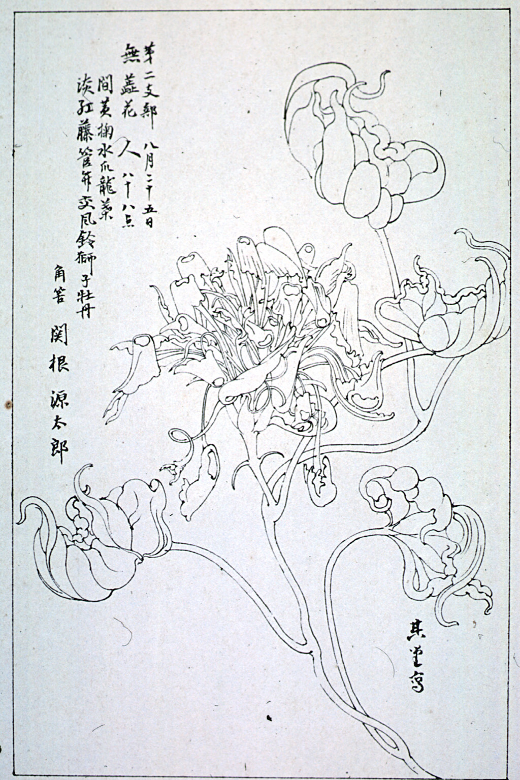 kishun15-48