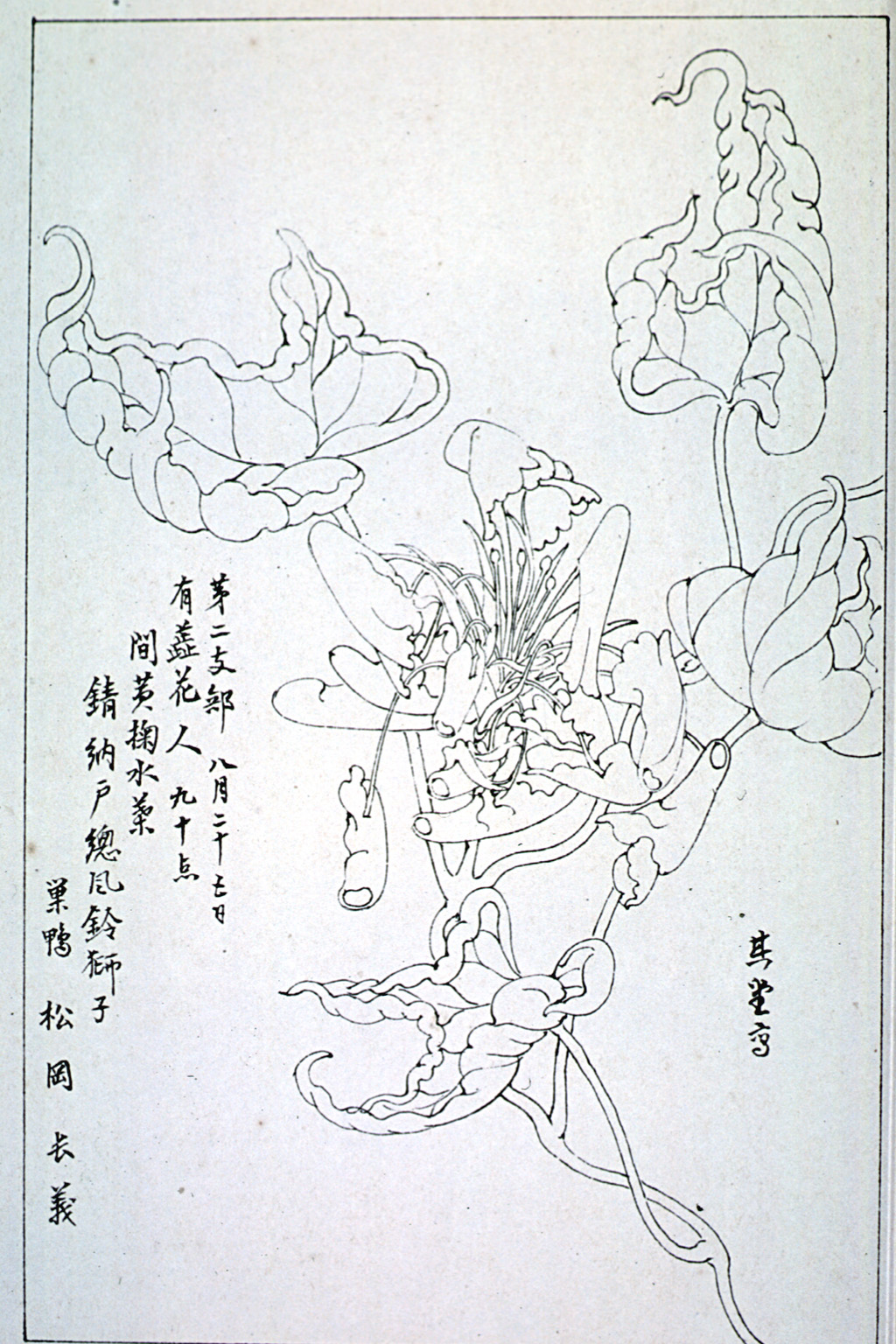 kishun15-49