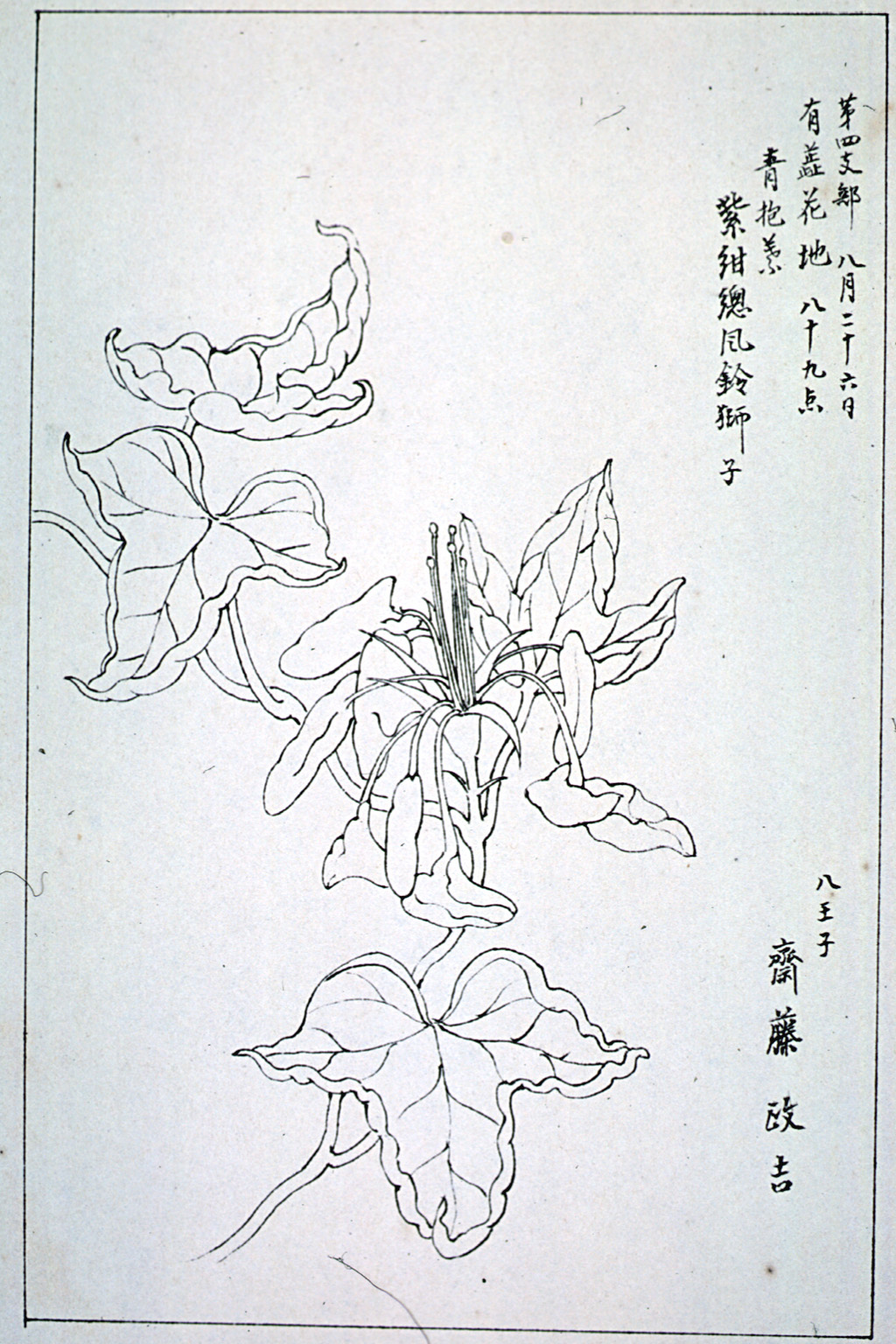 kishun15-53