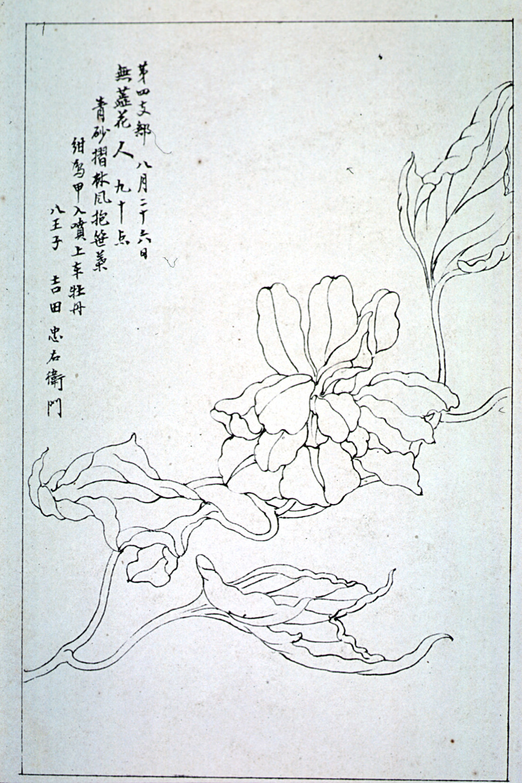 kishun15-54