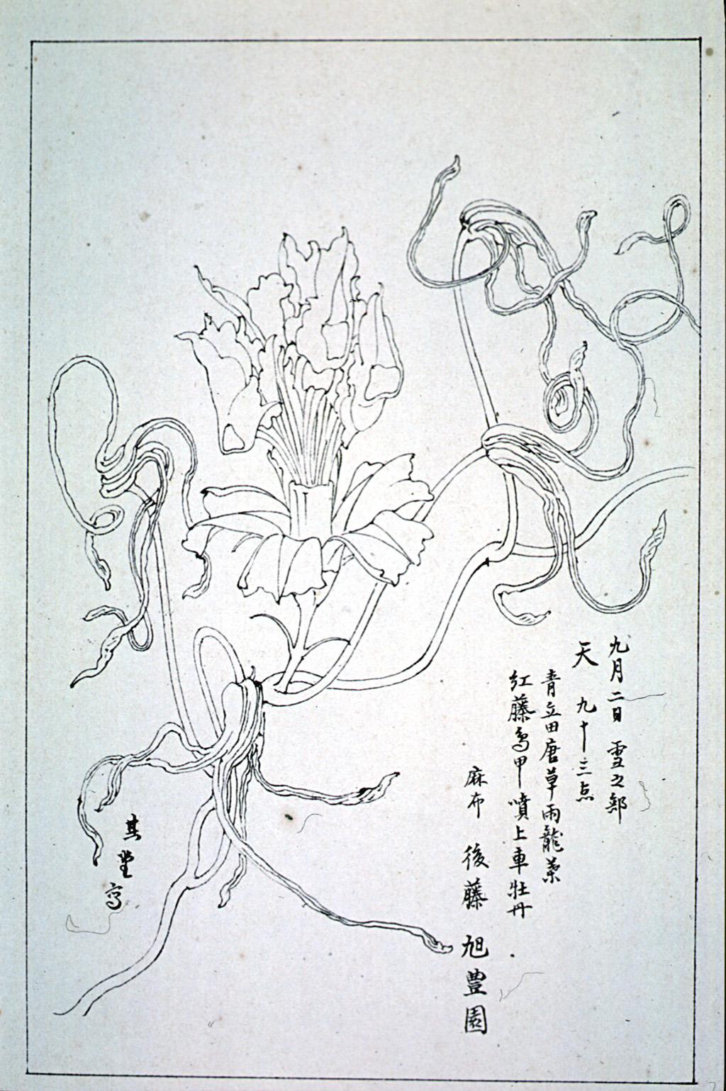 kishun15-60