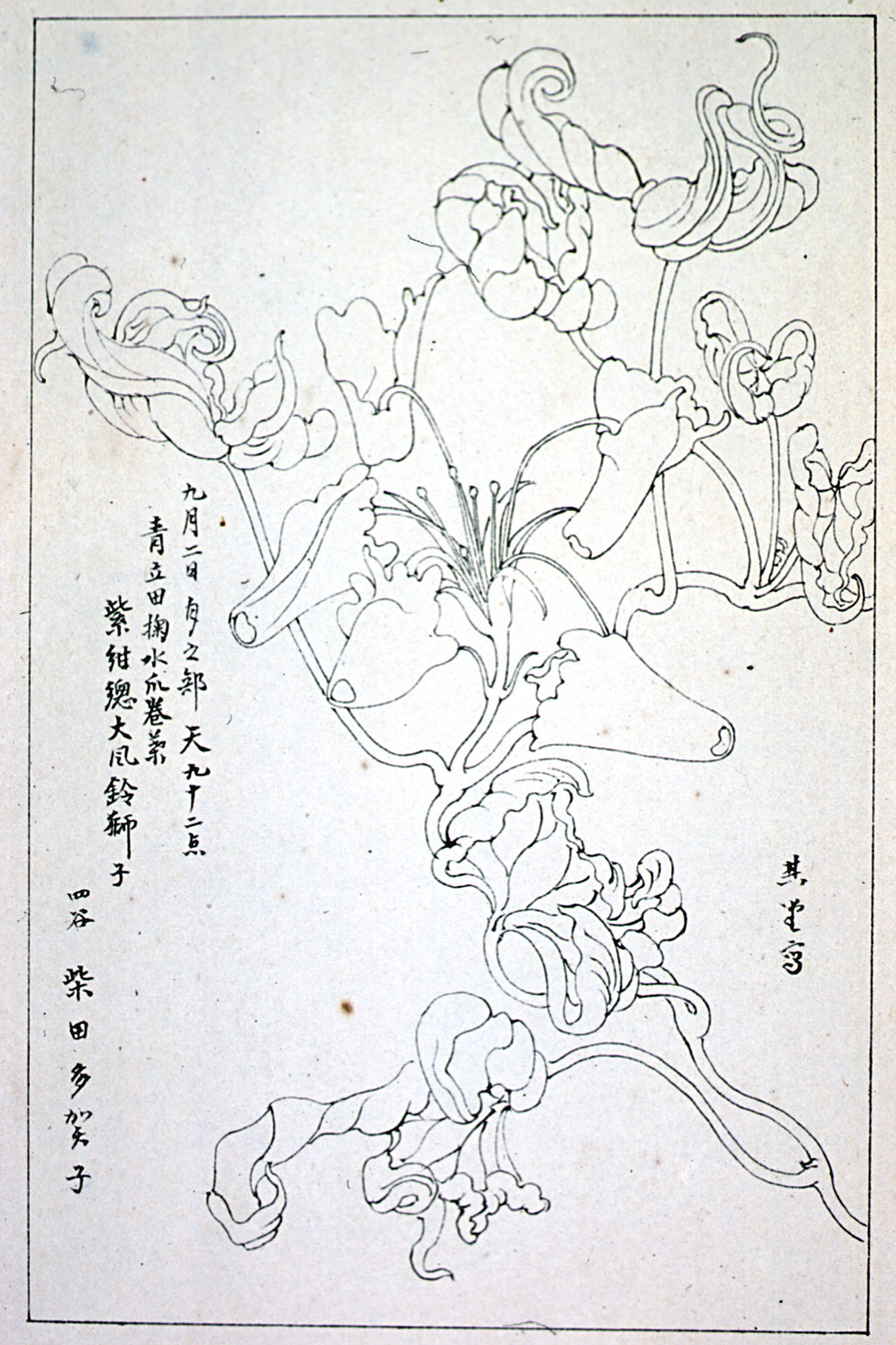 kishun15-61