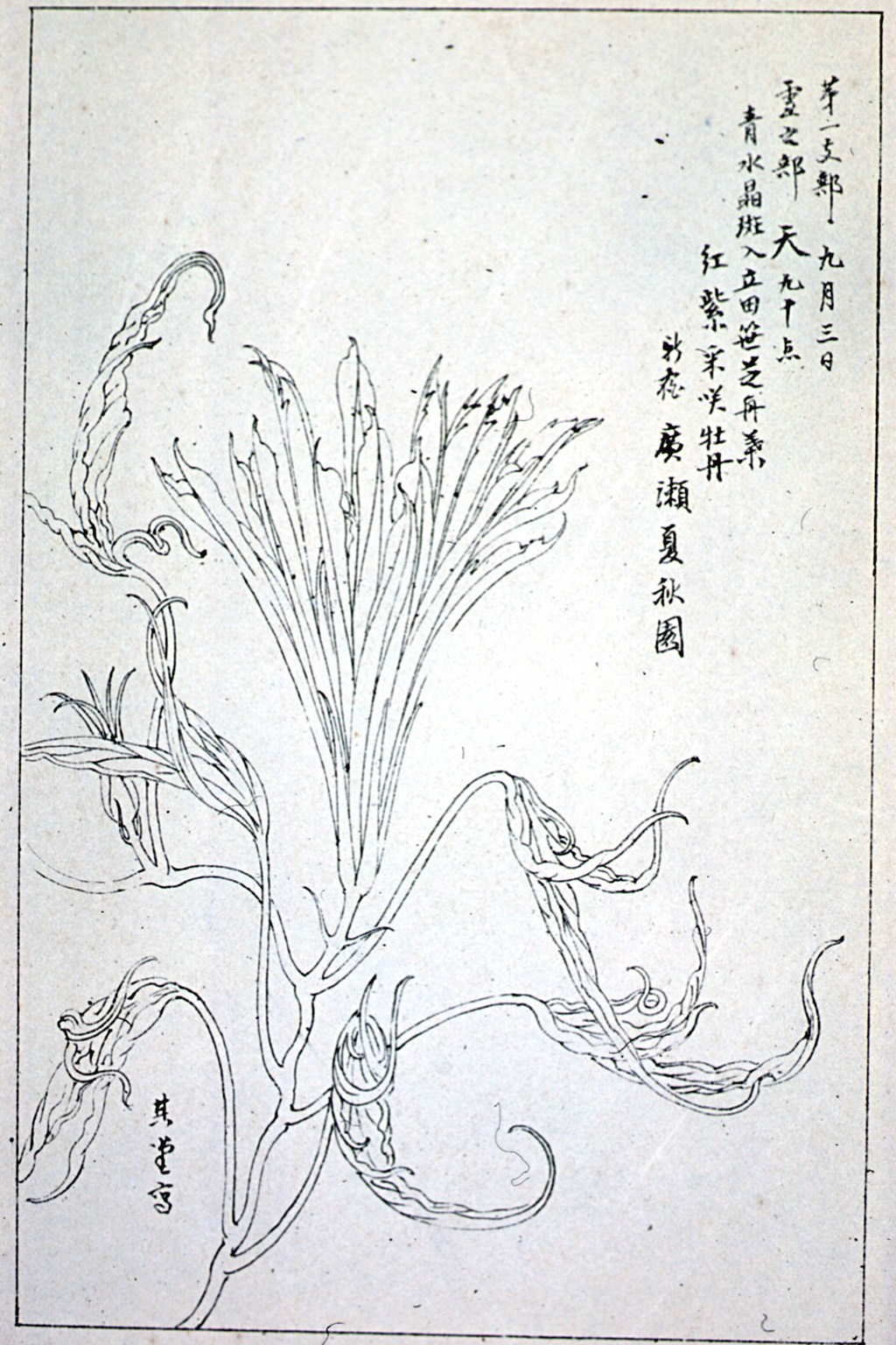 kishun15-62