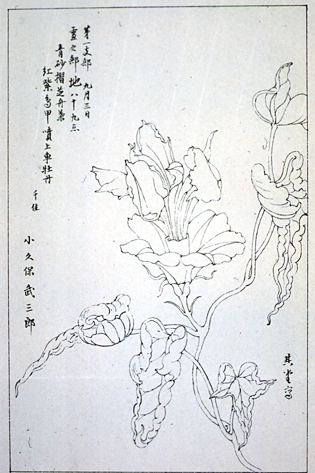 kishun15-64