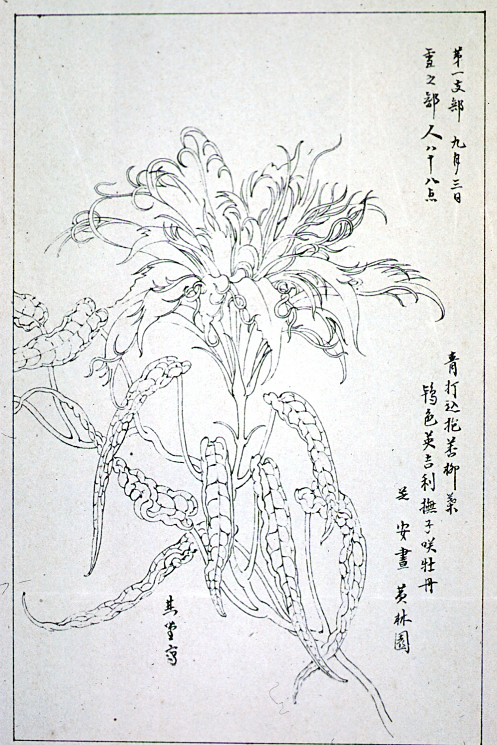 kishun15-67