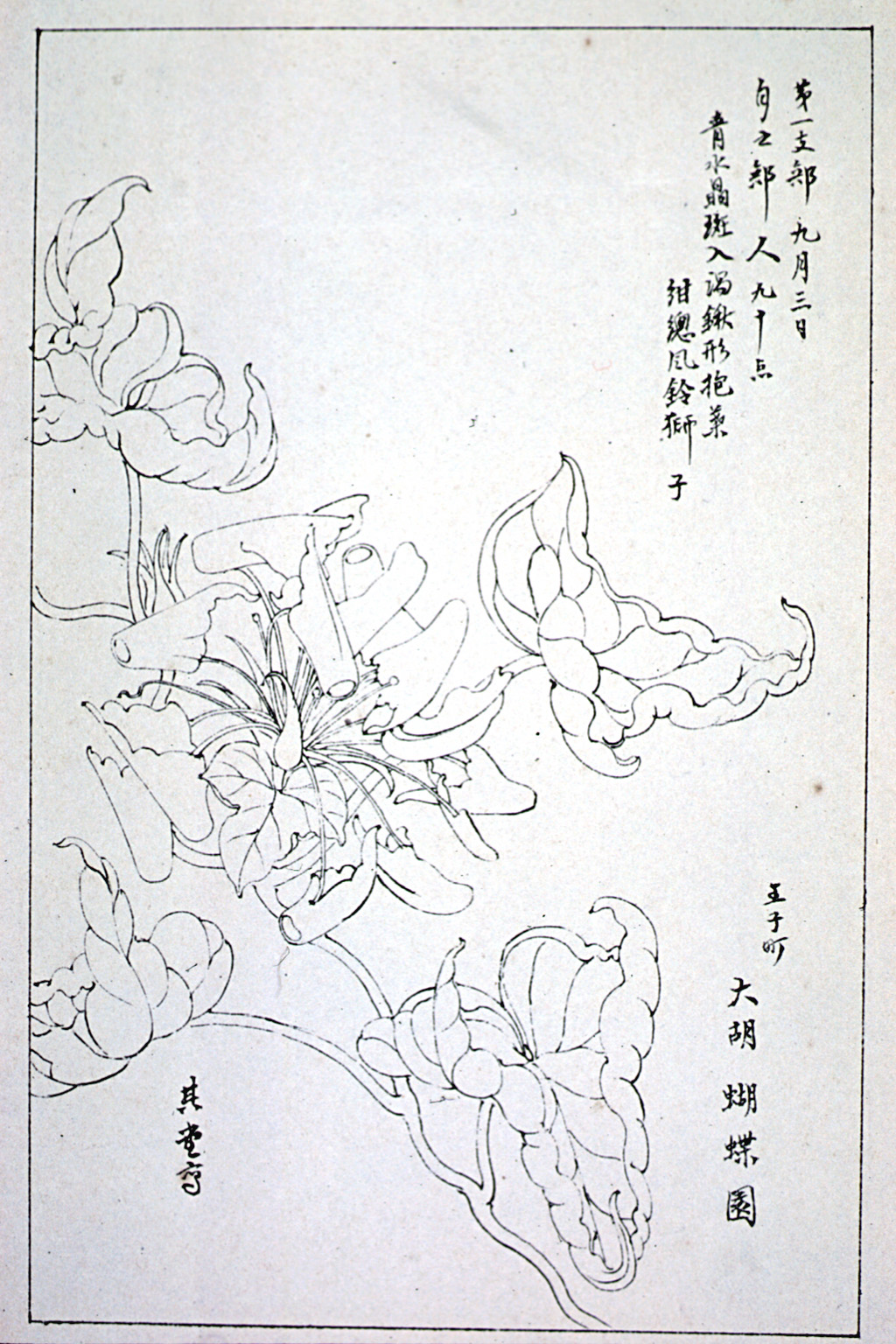 kishun15-68