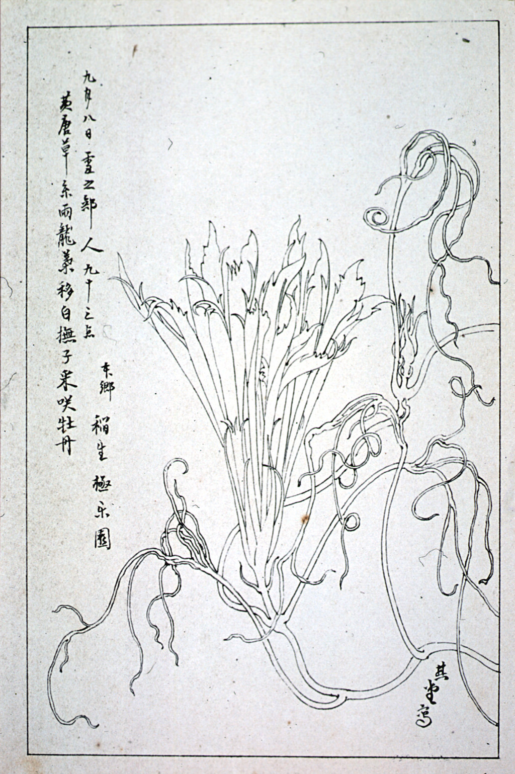 kishun15-75