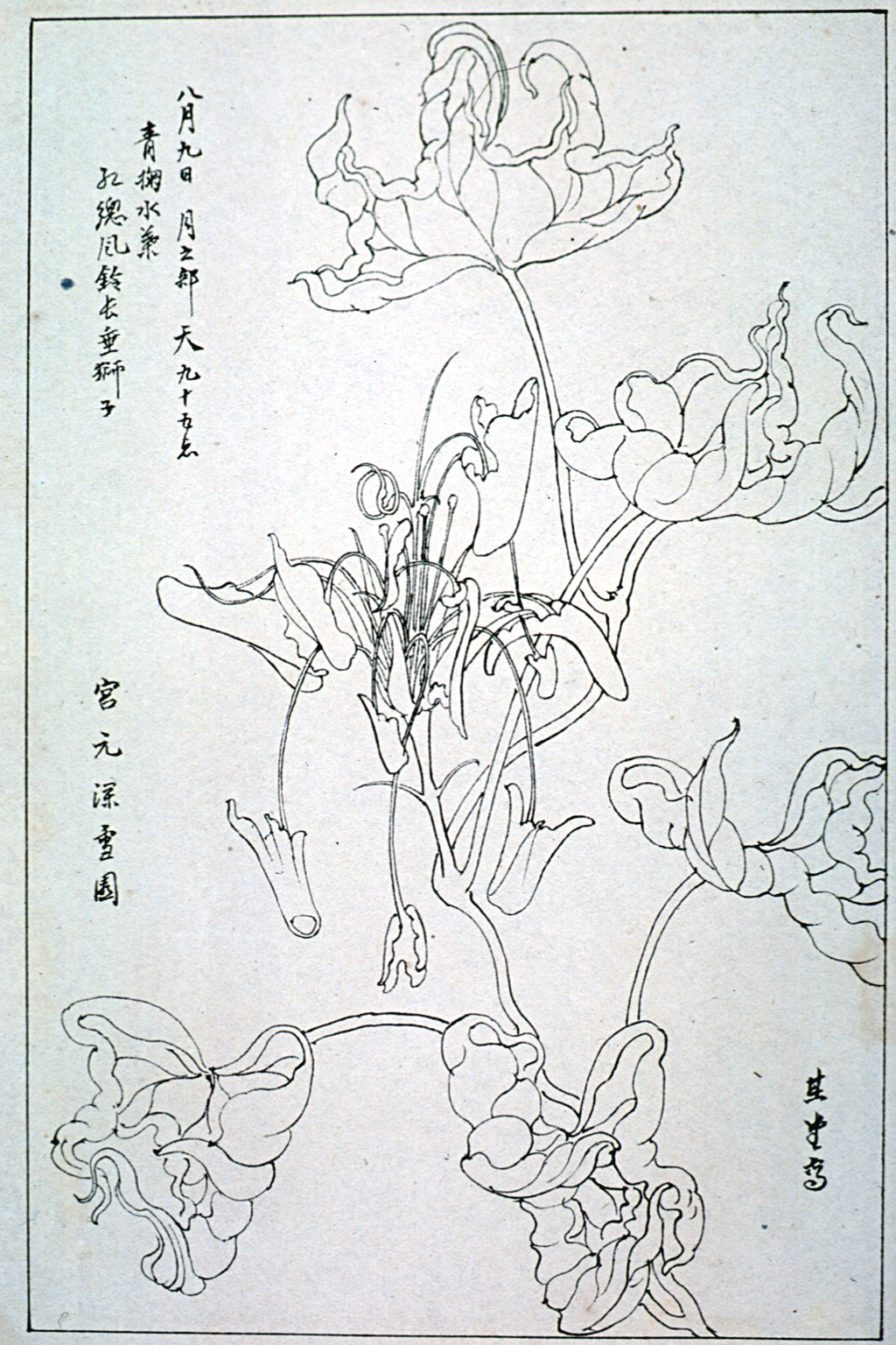 kishun16-24