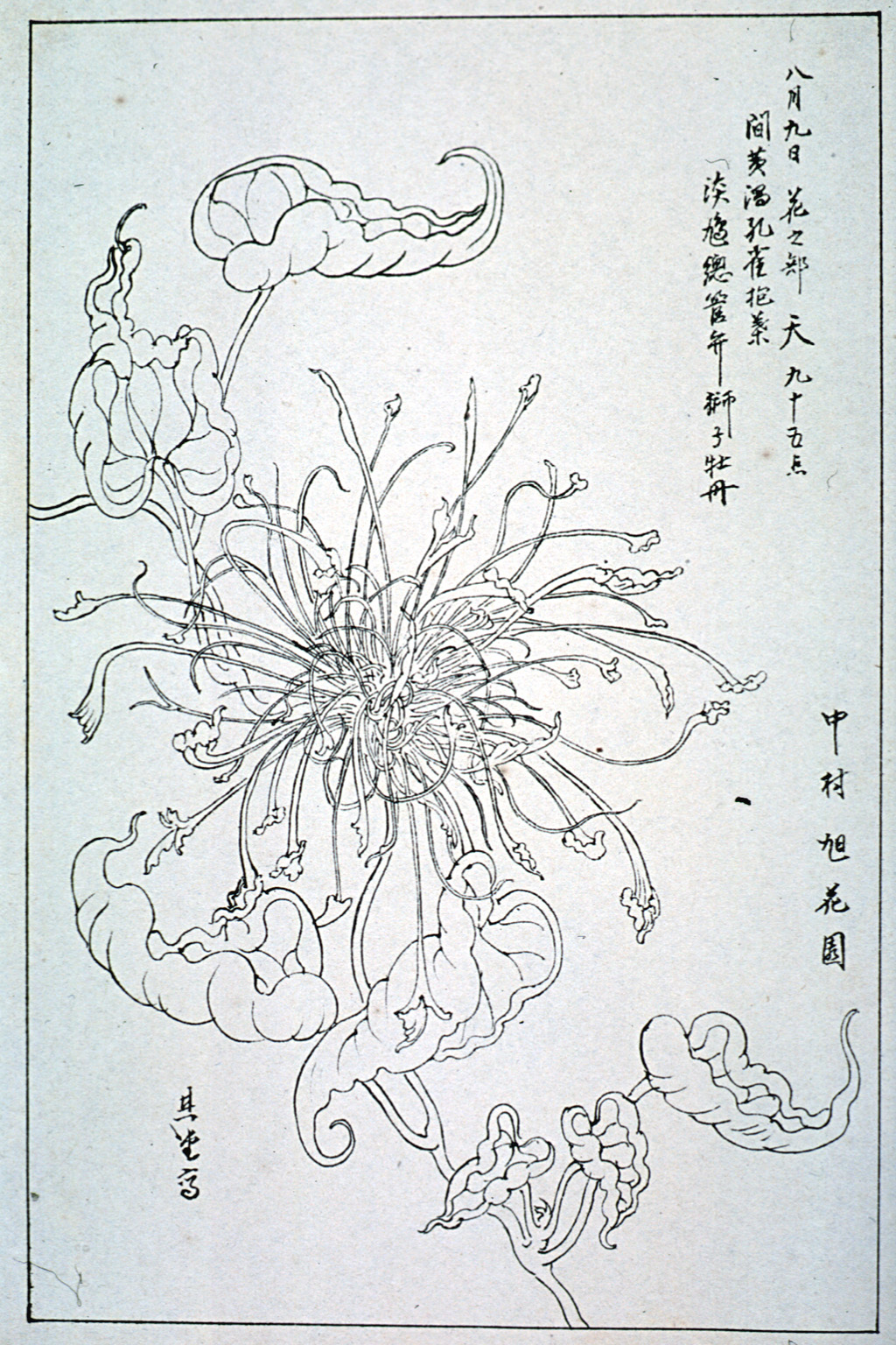 kishun16-25