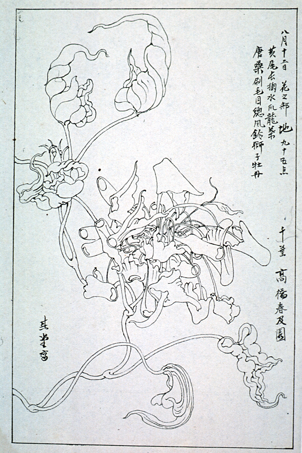 kishun16-31
