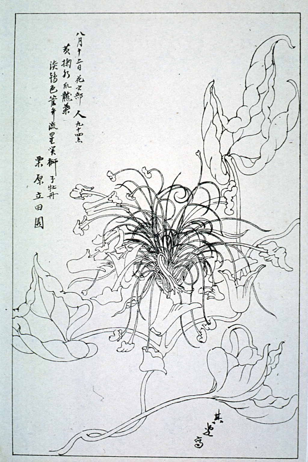 kishun16-32
