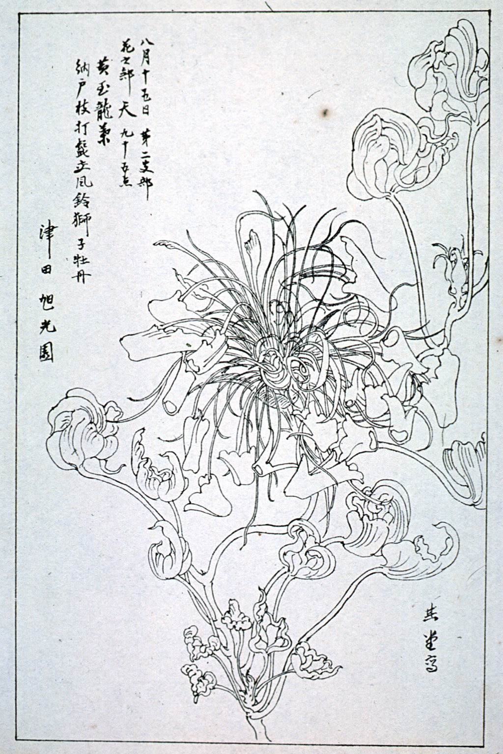 kishun16-34