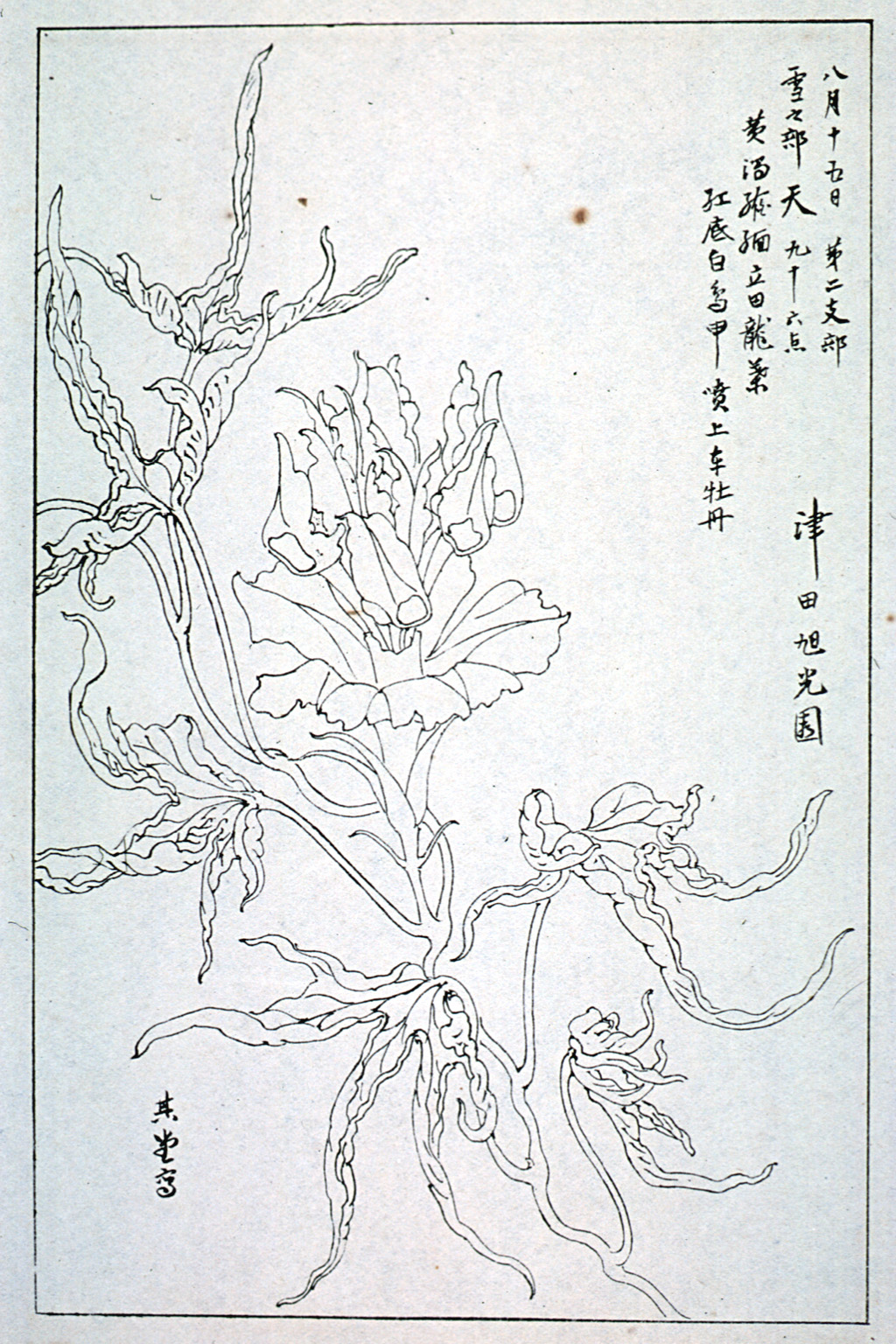 kishun16-35
