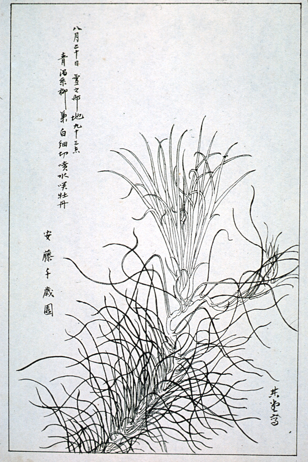 kishun16-36