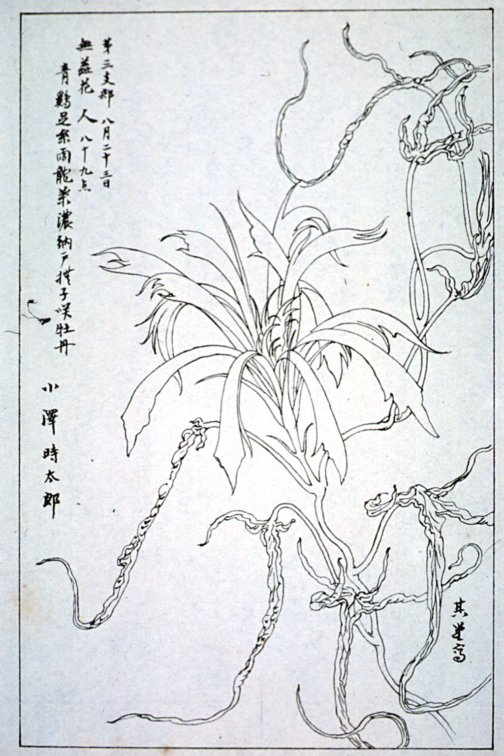 kishun16-44