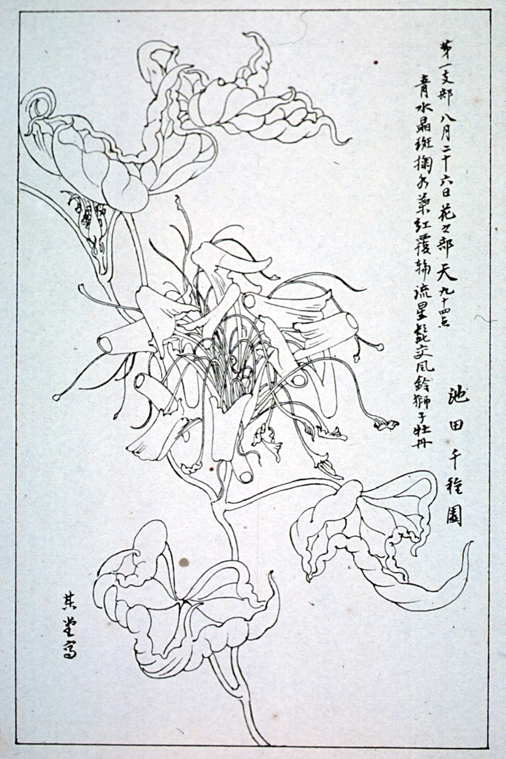 kishun16-53