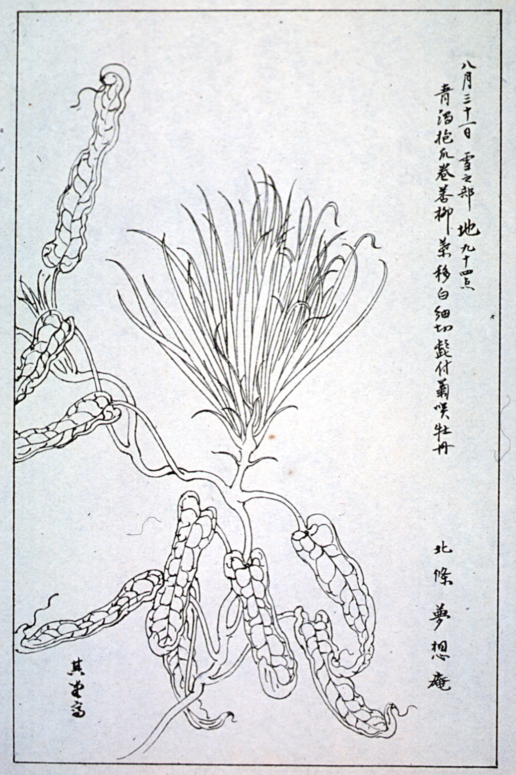 kishun16-58